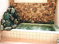 千葉県　岩井 大謙館の浴室